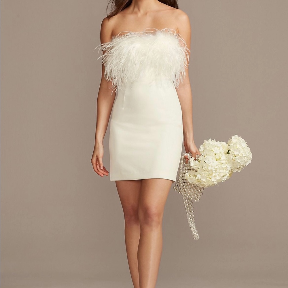 David’s Bridal Feather Trim dress